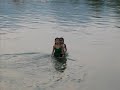 Vang Vieng - Laos