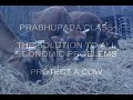 PRABHUPADA CLASS : THE SOLUTION TO ECONOMIC PROBLEMS