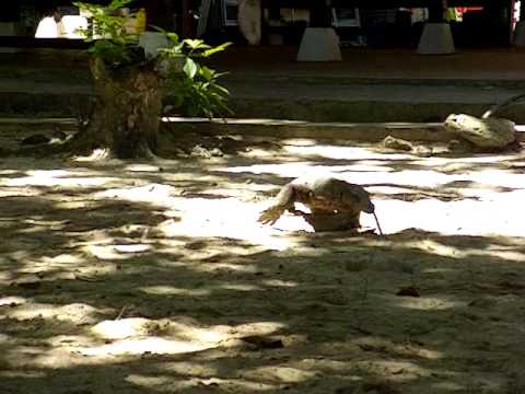 Image de prévisualisation YouTube