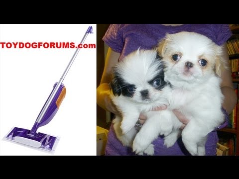 how to unclog a swiffer wet jet