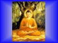 Niệm THÍCH CA MÂU NI PHẬT - Nhạc Võ Tá Hân