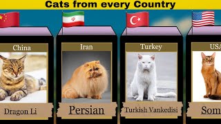 Cats from different countries around the globe