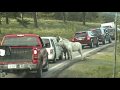 Custer State Park Drive-thru