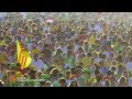 JMJ Rio 2013 Video