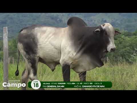 1 De Olho na Fazenda SELEO DO CAMPO