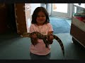 Family first video