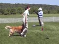 Click here to watch this video Fainne-Kit 2B APDT.5-19-12.MOD