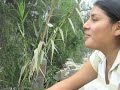 Paseo a la ksa de mi amix Paseo a la ksa de mi amix