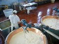 Making Parmigiano Reggiano (part 1)