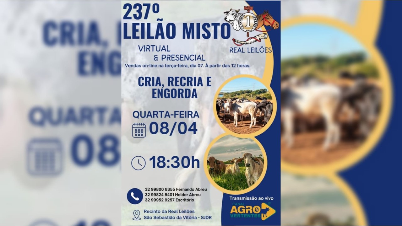 238º LEILÃO MISTO PRESENCIAL E VIRTUAL REAL LEILÕES - SÃO SEBASTIÃO DA VITÓRIA - SJDR/MG - 15/04/26