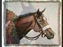 barbaro, une legende