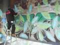 on the  wall / watanabe aruto(slam:k)