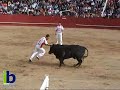 Toro Enmaromado 2008 - Tarde de cortes Toro Enmaromado 2008 - Tarde de cortes