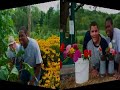 Boni-Bel Organic Farm