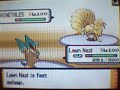 Pokemon Diamond Narrated BL/UU WiFi Battle vs. Pokettomon Pokemon Diamond Narrated BL/UU WiFi Battle vs. Pokettomon