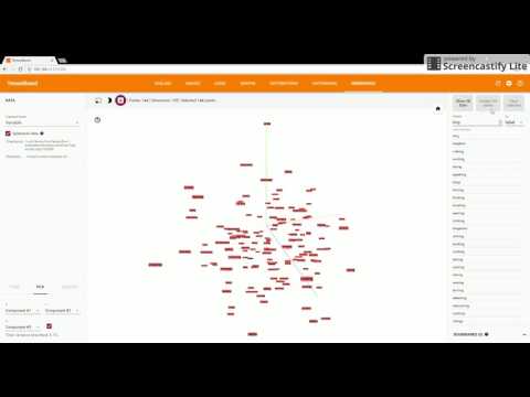 TensorBoard: Embedding Visualization | TensorFlow - Word2Vec sample