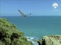 guila-Culebrera-Ave-