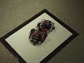 Sumo Wrestling Robots -- January 2008