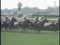 2003 japan cup ジャパンカップ 日本盃