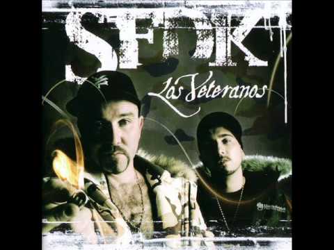 sfdk
