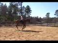 Fizzicus Training: January 2008