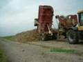 Arrachage des betteraves 2007 006