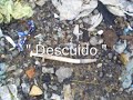 Resíduos Sólidos Resíduos Sólidos