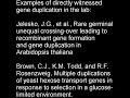 Re: How to Falsify Evolution: The End of Evolution