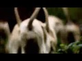 Top Gear   Daihatsu Terios Hunting