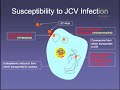 Progressive Multifocal Leukoencephalopathy Progressive Multifocal Leukoencephalopathy