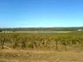 Hunter Valley pan-around Hunter Valley pan-around