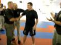 Amir Sadollah getting tasered