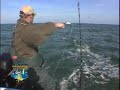 Jim Baugh Outdoors Suzuki Rockfish Jim Baugh Outdoors Suzuki Rockfish