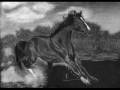 Pas-�-pas pour un dessin de cheval