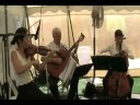 Newburg Trio- Faure Pavanne