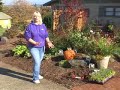 Planting flower bulbs and STEPABLE plants together Planting flower bulbs and STEPABLE plants together