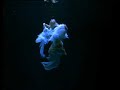 Madeira Islands Body Mind Madeira 4m
