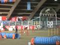 videos de anna e trilly jumping 3 voghera dicembre 08