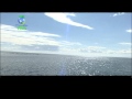 Salinera Guerrero.mov