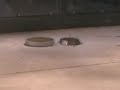 Robothon 2007 - Melty B vs. Baby Blaster (Antweight)