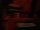 hilarous cat adventure.wmv hilarous cat adventure.wmv