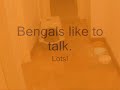 Watch 'Bengals love to talk'