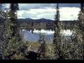 Clip Loiri Vesa-Matti Nuku Nuku Lapsi