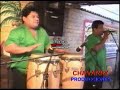 La vendimia--LOS BIO CHIP\"S--LOS TUMIS DE CARTAVIO