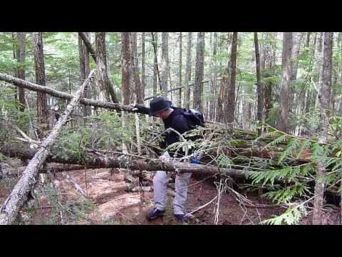 wilderness survival - This is the first part of our 3 day survival trip in the Canadian mountains of BC. We brought minimal supplies and survived in below freezing nights. In this...