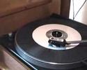dual-1242-playing-white-light-wild-version-by-playhaus.html