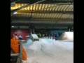 De kneuzen van Snowworld