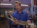 Abandoned Exotic Animal Overcrowding