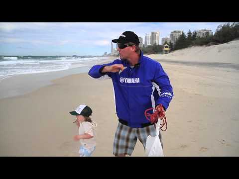 how to collect beach worms
