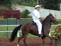 Armaged�n
